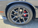 Thumbnail image of 2019 Dodge Challenger at New - Shottenkirk Chrysler Dodge Jeep Ram