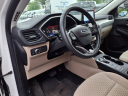 Thumbnail image of 2022 Ford Escape Plug-In Hybrid at Verner Cadby Ford