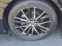 Thumbnail image of 2023 Toyota Camry at Wakefield Automotive Inc