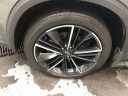 2022 INFINITI QX55 Luxe at Empire Nissan of Bay Ridge