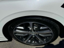 Thumbnail image of 2024 Honda Civic at Lexus of Freeport