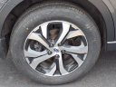 Thumbnail image of 2022 Subaru Outback at White Allen Honda