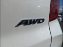 Thumbnail image of 2024 Honda Passport at Gary Force Honda