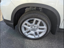 Thumbnail image of 2024 Honda Passport at Gary Force Honda