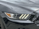 Thumbnail image of 2017 Ford Mustang at Ford of Smithtown