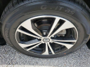 Thumbnail image of 2022 Nissan Sentra at Gator Automotive Group Used