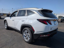 Thumbnail image of 2024 Hyundai TUCSON at TyrrellChevrolet (Also Ford and Honda used)