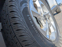 Thumbnail image of 2024 Hyundai TUCSON at TyrrellChevrolet (Also Ford and Honda used)