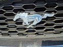 Thumbnail image of 2017 Ford Mustang at Johnson Ford