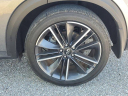 Thumbnail image of 2023 INFINITI QX55 at Infiniti of Fort Myers