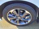 Thumbnail image of 2023 Honda Odyssey at Serra Buick Gmc Champaign