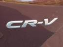 Thumbnail image of 2019 Honda CR-V at VideonChryslerDodgeJeep - New