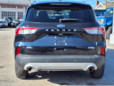 Thumbnail image of 2021 Ford Escape at Chatham Ford