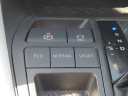 Thumbnail image of 2021 Toyota RAV4 at ToyotaOfSarasotaUSED of Sarasota, FL