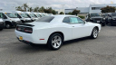 Thumbnail image of 2023 Dodge Challenger at Jeep Chrysler Dodge of Ontario - Used