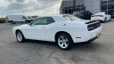 Thumbnail image of 2023 Dodge Challenger at Jeep Chrysler Dodge of Ontario - Used