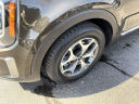 Thumbnail image of 2021 Kia Telluride at JimMladyNissan USED