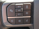 Thumbnail image of 2023 Ford F-150 Lightning at FBWC USED