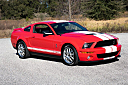 Thumbnail image of 2007 Ford Shelby GT500 at Burnyzz Llc.