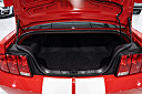 Thumbnail image of 2007 Ford Shelby GT500 at Burnyzz Llc.