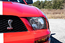Thumbnail image of 2007 Ford Shelby GT500 at Burnyzz Llc.