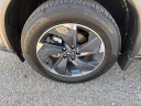 Thumbnail image of 2025 Nissan Rogue at McGavock Nissan of Amarillo (McGavockNissanofAmarillo