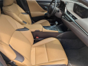 Thumbnail image of 2021 Lexus ES 350 at Arrigo Chrysler Dodge Jeep Ram at Sawgrass