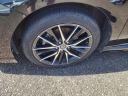 2022 Toyota Camry SE at Teague Ford Lincoln