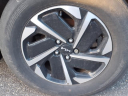 Thumbnail image of 2023 Kia Sportage Hybrid at Autoworld Kia