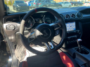 Thumbnail image of 2019 Ford Mustang at Rockland Motors