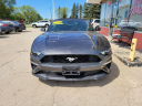 Thumbnail image of 2018 Ford Mustang at CLARE AUTO SALES, INC