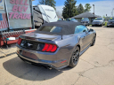 Thumbnail image of 2018 Ford Mustang at CLARE AUTO SALES, INC