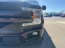 Thumbnail image of 2019 Ford F-150 at Richardson Gladwin