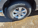 2023 Ford F-150 XLT at Teague Ford Lincoln