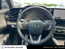 Thumbnail image of 2024 Lexus RX 350 at Stoler Lexus