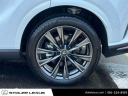 Thumbnail image of 2024 Lexus RX 350 at Stoler Lexus