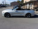 Thumbnail image of 2017 Ford Mustang at TEAM AUTOMOTIVE