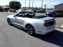 Thumbnail image of 2017 Ford Mustang at TEAM AUTOMOTIVE
