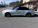 Thumbnail image of 2017 Ford Mustang at TEAM AUTOMOTIVE