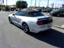 Thumbnail image of 2017 Ford Mustang at TEAM AUTOMOTIVE