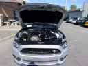 Thumbnail image of 2017 Ford Mustang at TEAM AUTOMOTIVE