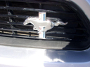 Thumbnail image of 2017 Ford Mustang at TEAM AUTOMOTIVE