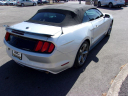 Thumbnail image of 2017 Ford Mustang at TEAM AUTOMOTIVE