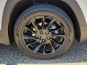 Thumbnail image of 2023 GMC Terrain at Frank Brown Honda GMC
