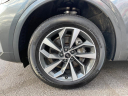 Thumbnail image of 2021 Audi Q5 Sportback at PREFERRED IMPORTS LLC