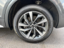 Thumbnail image of 2021 Audi Q5 Sportback at PREFERRED IMPORTS LLC