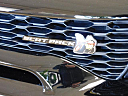 Thumbnail image of 2022 Dodge Charger at Gary Mathews Motors