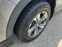Thumbnail image of 2019 Honda CR-V at MOUNTAIN MOTORS LLC