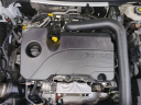 Thumbnail image of 2023 GMC Terrain at LaFontaine Buick GMC of Dearborn
