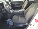 Thumbnail image of 2023 Nissan Sentra at Southern 441 Nissan